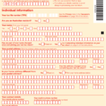 Income Tax Rebate Form