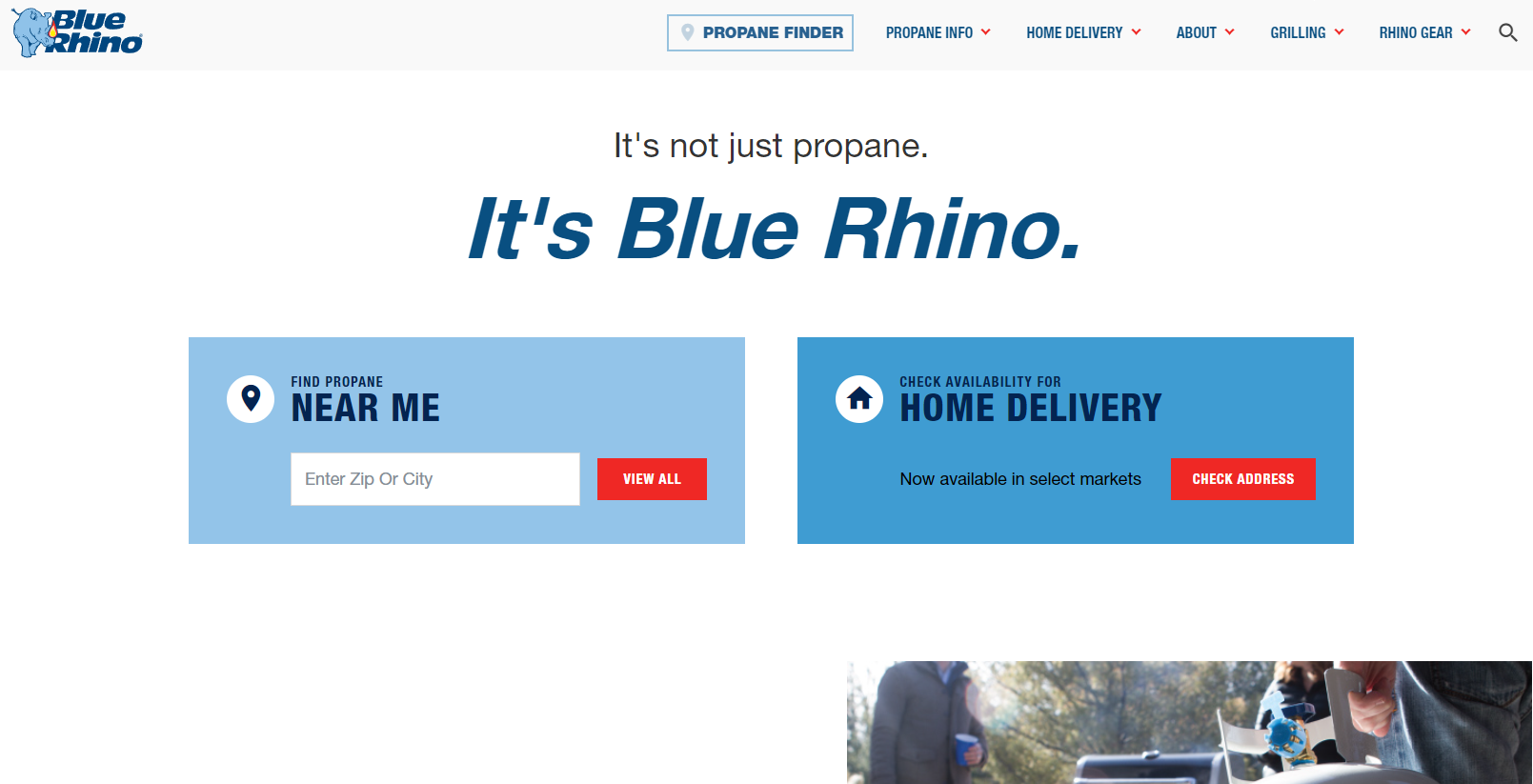Blue Rhino Rebate