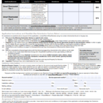 Dominion Energy Rebate Form By State