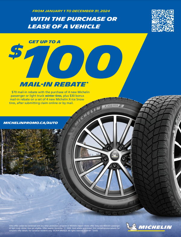 Michelin Rebates 2024 Form